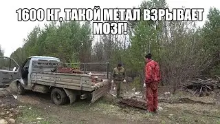 МЕТАЛОКОП по пути на приемку! Нашли стоянку трактора т4 .Такой метал взрывает мозг ! коп в лесу.