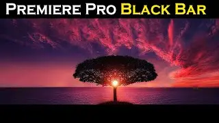 How to Add Cinematic Crop Black Bar in Premiere Pro