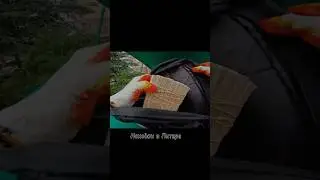 Находки в Питерских помойках 💀