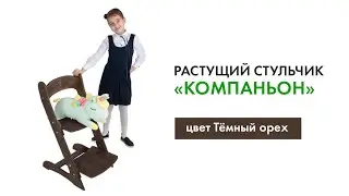 Растущий стул Компаньон в цвете Тёмный орех