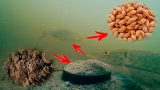ЩУКА на Охоте! Реакция рыбы на МАКУХУ и ПЕРЛОВКУ! Подводная съемка!