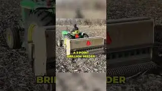 Spring seeding alfalfa 