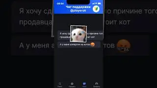 СТРАННЫЕ ЗАПРОСЫ В ПОДДЕРЖКУ  PLAYEROK 5 🥹💙 #playerok #рек