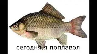 Мой блог #1