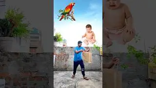 Flying crying babies, scooter, parrot & swan catching vs frog, green lizard - funny vfx magic 😂