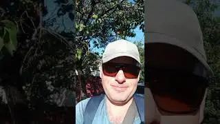 Симферополь сезон Абрикосов. 28 июня 2024 .