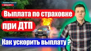 Выплата по страховке при ДТП. Как заставить платить страховую? Полная инструкция! Ускорить выплату!