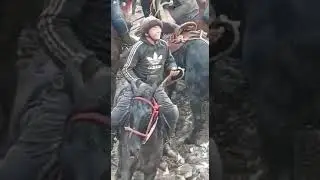 Зрелищный Аламан улак Кыргызстан