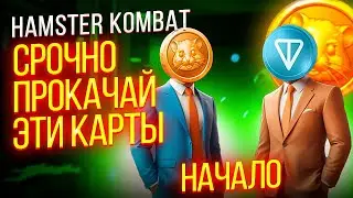 Hamster Kombat: Открой эти карточки до июля! Hamster получил поддержку TON — листинг токена.