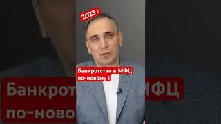 Банкротство в МФЦ - 2023