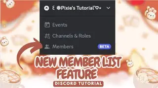 BEST UPDATE? DISCORD MEMBER LIST MAKE YOUR LIFE EASIER | AUGUST 2023
