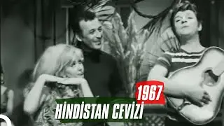 Hindistan Cevizi | 1967 | Sadri Alışık Filiz Akın