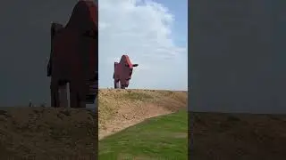 Брестская область, ЗУБР 🦬 