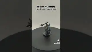 D&D Male Human Paladin/Cleric/Warlock Painted Miniature