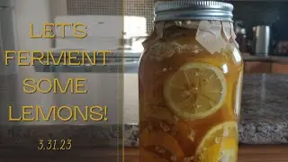 Let's Make Some Lemon & Ginger Fermented Honey (with a little bit of chaotic energy...)