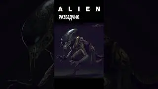 Alien - Разведчик  