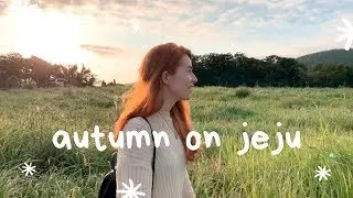 One Day on Jeju Island in Autumn (Using The Bus!) | Korea VLOG