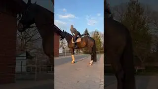 Let’s ride 🐴💥 