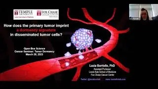 [Lucia Borriello]How does the primary tumor imprint a dormancy signature in disseminated tumor cells