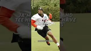 Speaking Fax Until The Bengals Win The Super Bowl