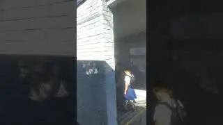 Старые паровозы. Еще в строю😉