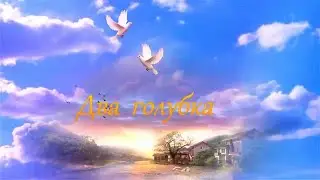 Пётр Лысенко -  Два голубка!Two pigeons! Бесконечно красивая песня о чистоте и верности, о любви!