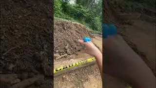 A CRAZY ZOO TIME 