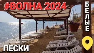 Белые Писки. #Волна. 2024 - Нудисты, медузы, лечебные процедуры на Черном море!