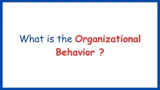 What is Organizational Behavior ? | Organizational Behavior Concept