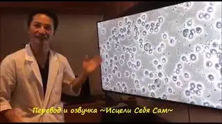 Какой эффект заземление, или хождение босиком по земле, оказывает на нашу кровь. Эксперимент!