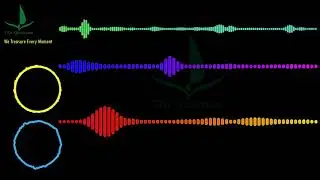 Itro - Panda 