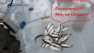 Рыбалка в глухозимье. Ловля плотвы и окуня в глухозимье. Удочка самолов. Мормышка суспендер.