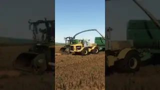 Собираем солому Кировец + Fendt 