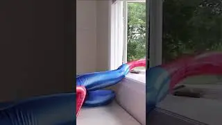Real Life Spider-Girl part 3 🕷️ 