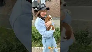 Доставка щенка Москва-Спб 😍🏡 Благодарим компанию "Доставка животных по России. Поехали с Музыкой!"