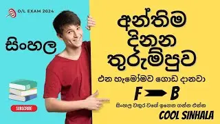 සිංහල අන්තිම තුරුම්පුව ❤️🤩එන හැමෝම නිකන්ම ගොඩ යන ලංකාවේ සුපිරිම PLAN එක 👌 COOL SINHALA