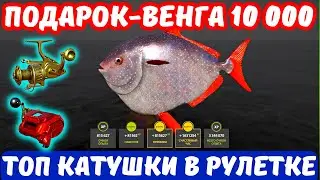 СТРИМ РР4 🎁 ПОДАРОК - ВЕНГА 10 000 За топ 1 🎁 РОЗЫГРЫШИ Катушек, Премов и Золота 🎁 ТУРНИРЫ 🎁 DUM_