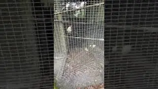 The biggest zoo in the world