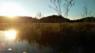 Хожу по старой деревне. Озеро Рыбное. Часть 4