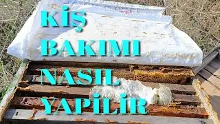 Arıya Kış Bakımı Uygulamalı Anlatım Ne fayda
