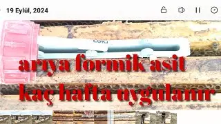 Varroa için Formik asit uygulaması detaylı anlatım ne fayda