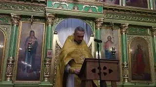 АРХИПАСТЫРСКОЕ ОБРАЩЕНИЕ. Читает прот. Андрей Пронин