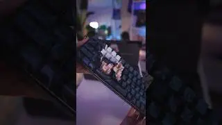 Unboxing the Gojo keyboard 