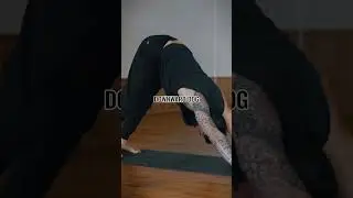 Basic Yoga Poses For Beginners