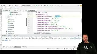 Distributed Programming Fullstack 2021  | S2P37 | Extremely Quick Angular Intro