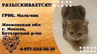 Пропал кот ! ГРИС , Московская область , г. Москва