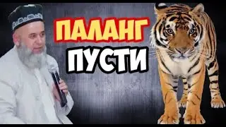 ?  САВОЛУ ЧАВОБ ХОЧИ МИРЗО 2023 , hoji mirzo