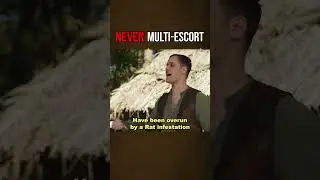 Taking on more than one escort quest 