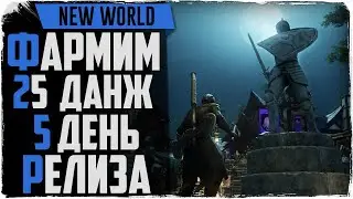 Релиз New World. Идем в 25 данж! Ответы на вопросы. Annwyn / Ковенант
