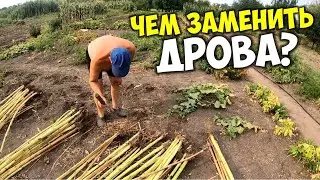 Чем заменить дрова для печки бесплатно? ♻️ Дрова с вашего огорода помогут растопить печь